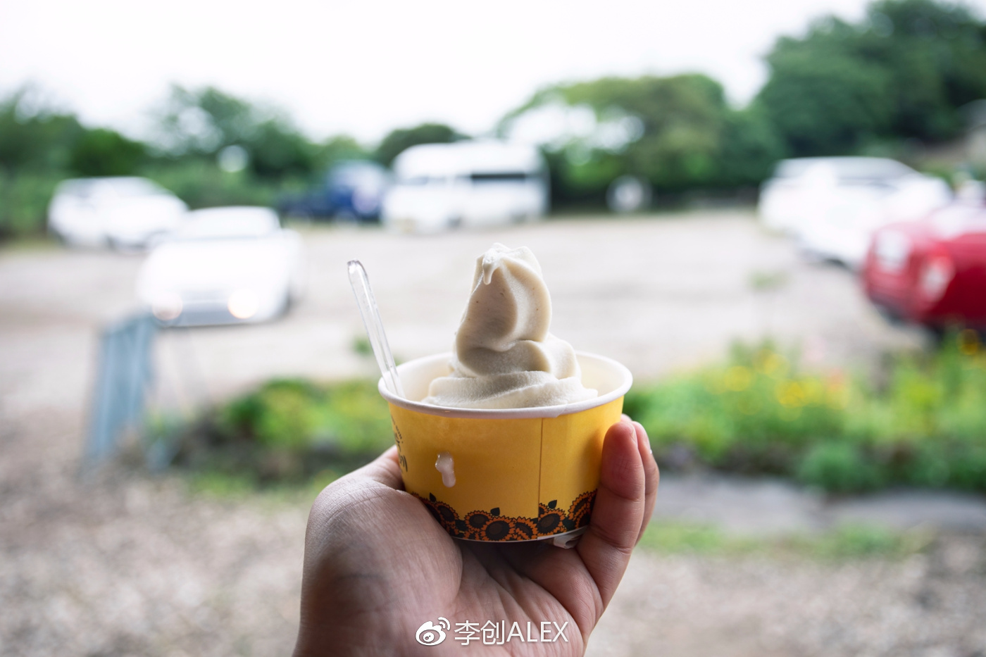 没坐过飞机韩国济州岛旅游攻略,韩国济州岛怎么去最省钱