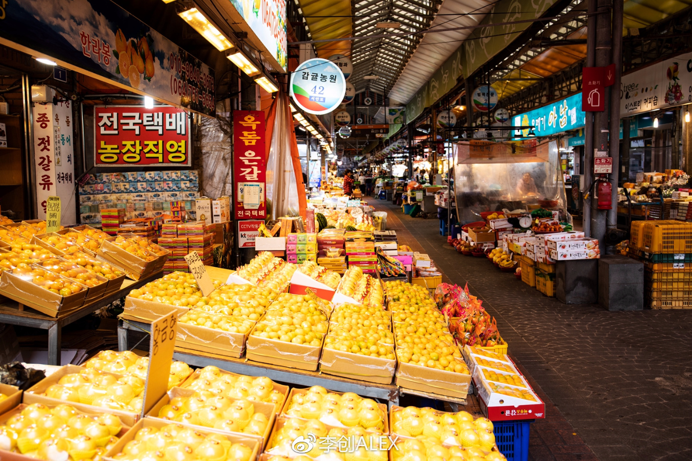 没坐过飞机韩国济州岛旅游攻略,韩国济州岛怎么去最省钱