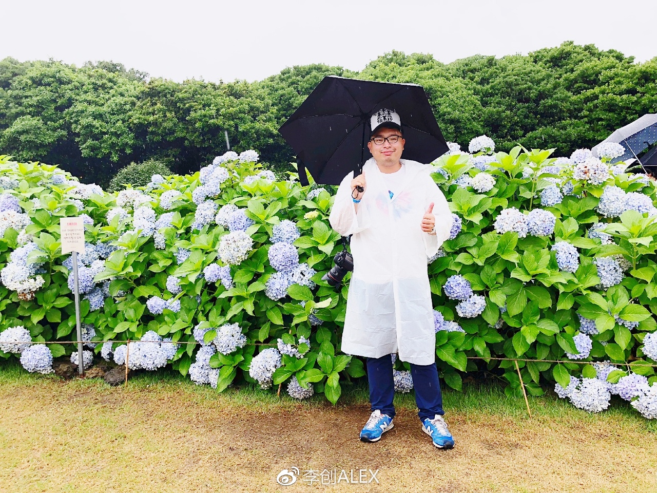 没坐过飞机韩国济州岛旅游攻略,韩国济州岛怎么去最省钱