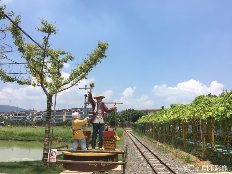 「摄影」义乌的夏日乐园