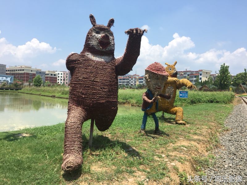 「摄影」义乌的夏日乐园