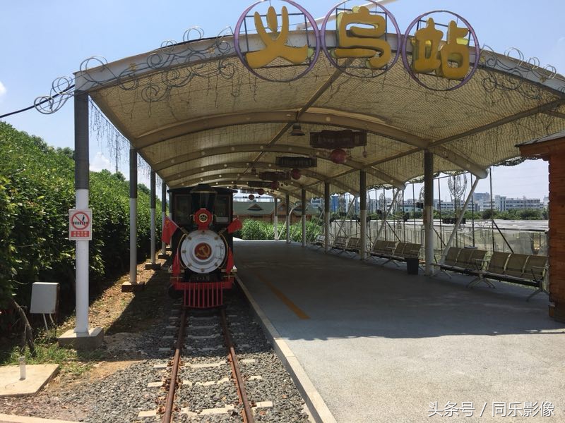 「摄影」义乌的夏日乐园