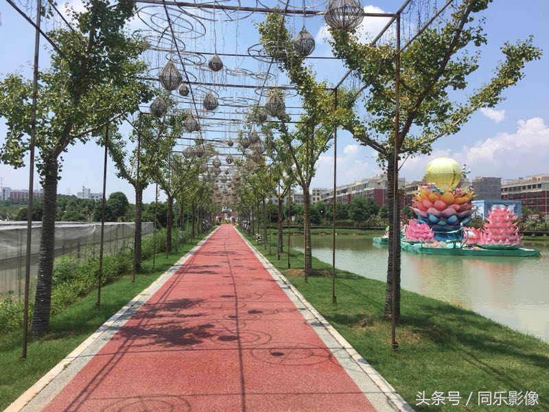 「摄影」义乌的夏日乐园