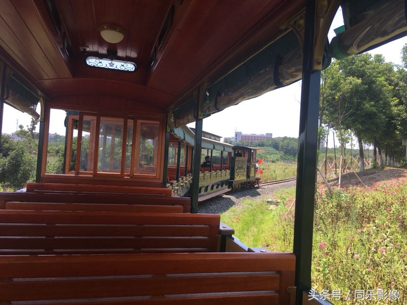 「摄影」义乌的夏日乐园