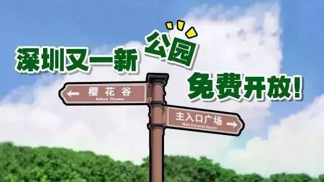 深圳足球公园免费开放,深圳新的草地公园
