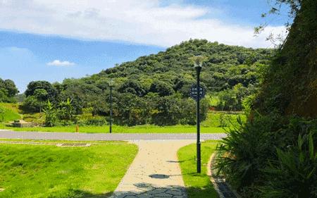 深圳足球公园免费开放,深圳新的草地公园