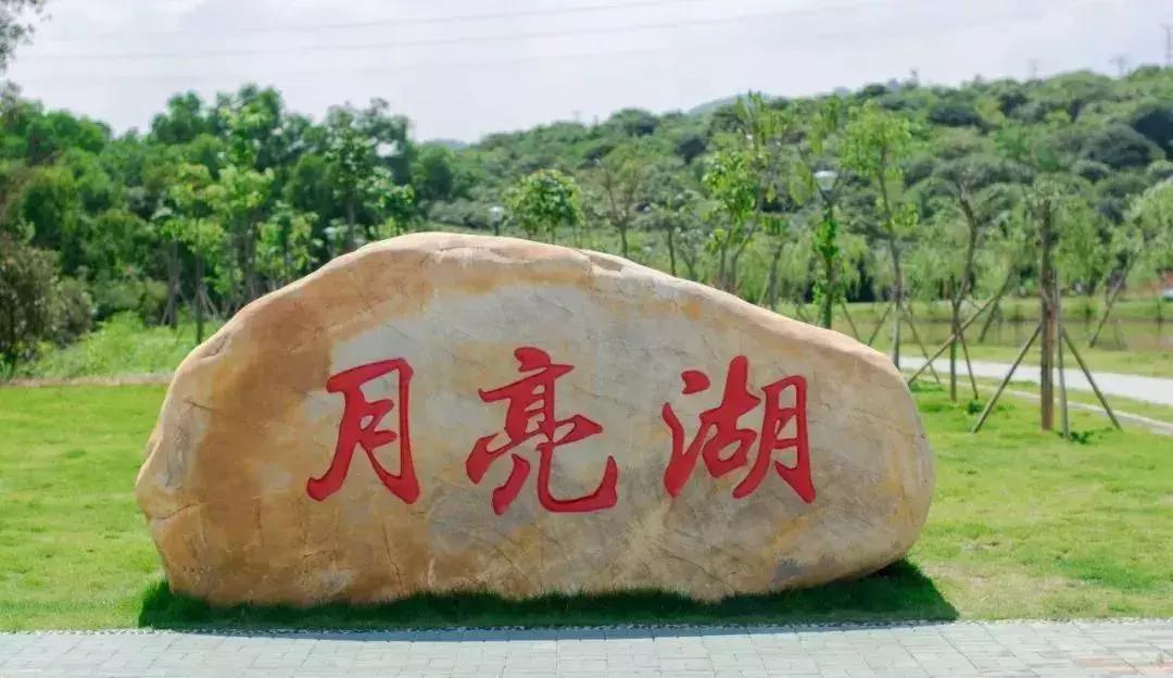 深圳足球公园免费开放,深圳新的草地公园