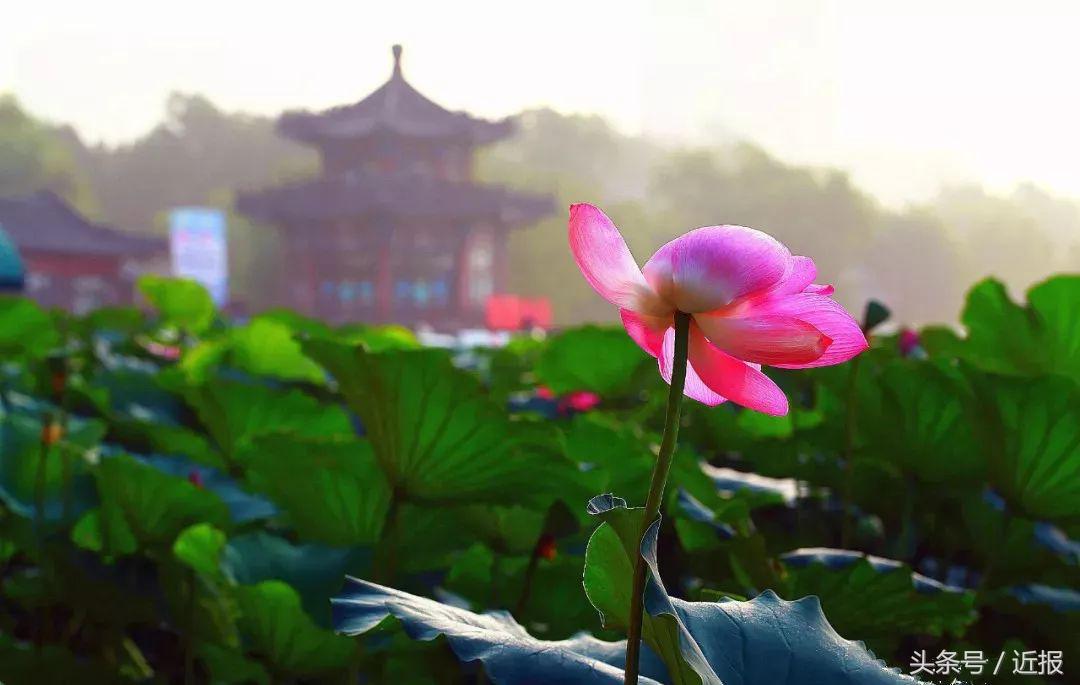 济南地标建筑济南之眼,济南地标建筑简介