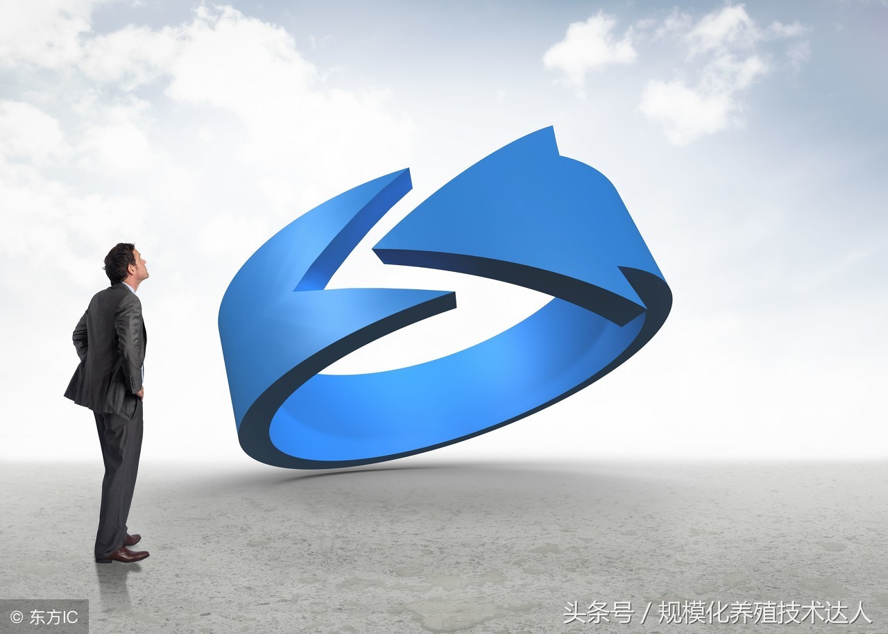 解答各种养殖小知识,养猪场成本与管理方法