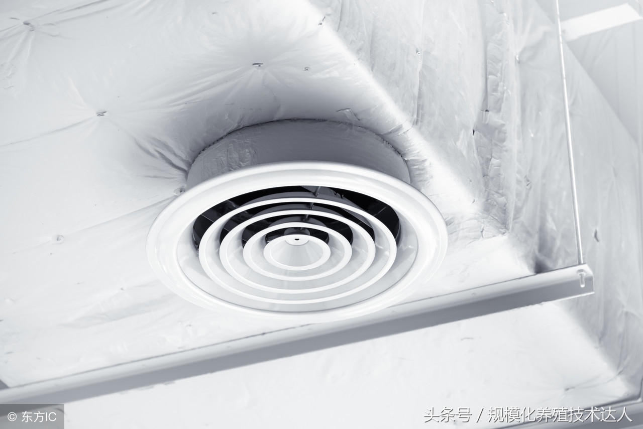 解答各种养殖小知识,养猪场成本与管理方法