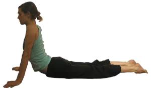 如何完整的练习一节60分钟的阴瑜伽？