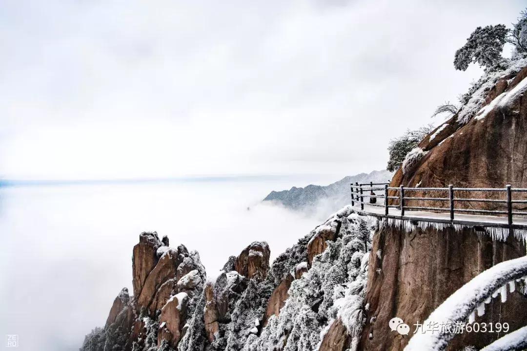 我被录取了,我被录取了图片