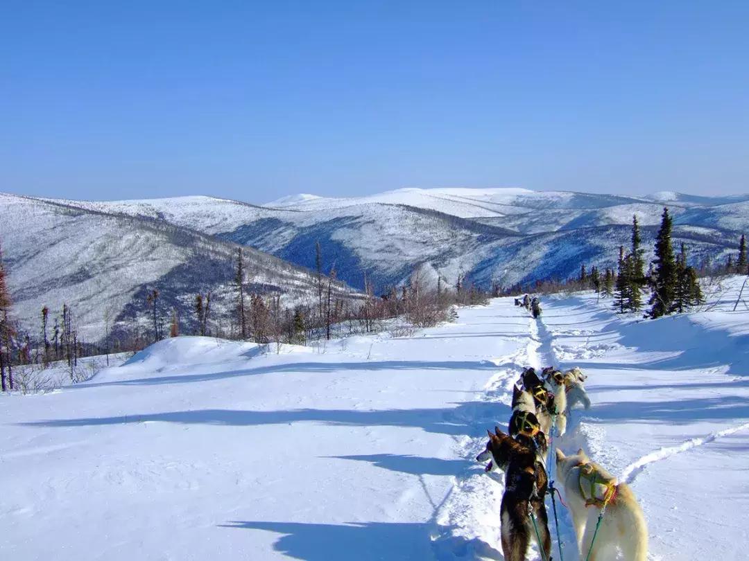 温哥华最佳旅游时间表,温哥华如何到西雅图旅游
