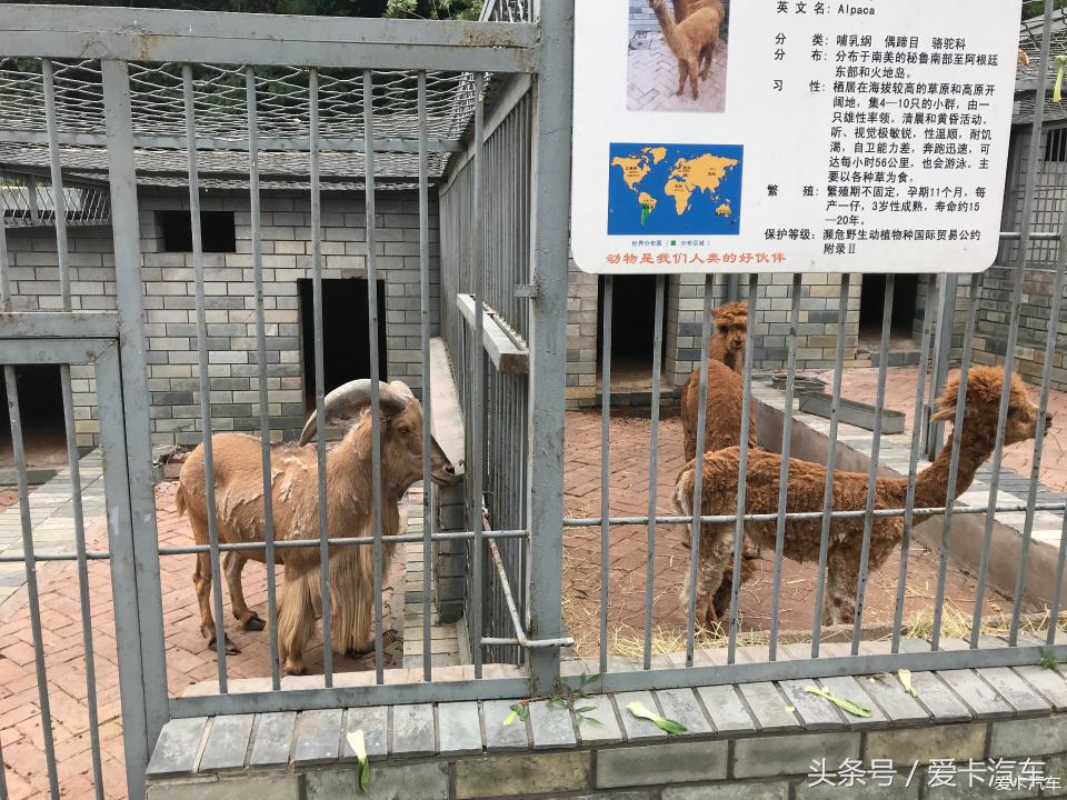 三菱欧蓝德19款的怎么换胎,欧蓝德质保期内轮胎是否免费更换