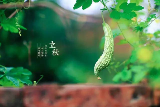 长垣县驾校哪家驾校通过率高,长垣驾校最新消息今天