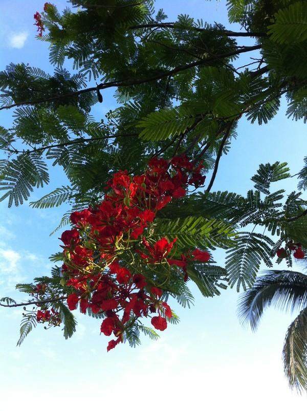 大宝二宝三亚游,三亚三妈游玩攻略