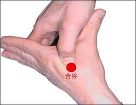 晕车不要怕,按这三个穴位,立马就能缓解