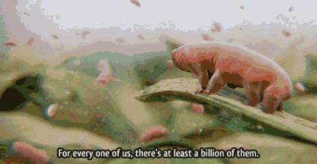 爱美的人，注意健康的人，不放过生活每个细节——螨虫