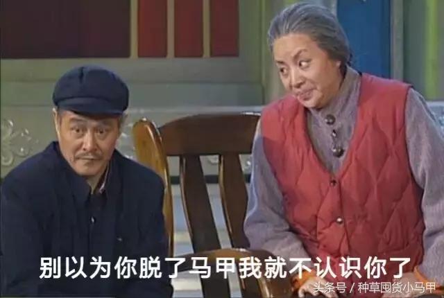 晚安粉跟粉饼一样吗,晚安粉假货鉴别