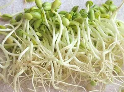 遂宁特色文化,遂宁独特的文化与习俗