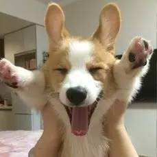 遂宁特色文化,遂宁独特的文化与习俗