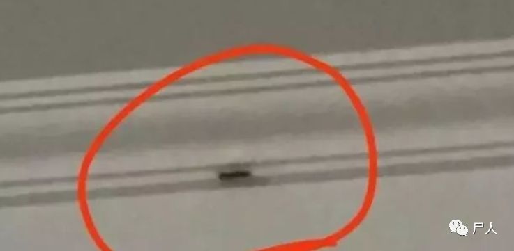 外卖小哥的悲惨经历 (外卖小哥被要求200元)