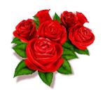 牙长歪了怎么办可以矫正吗,一岁多小孩牙长歪了怎么办