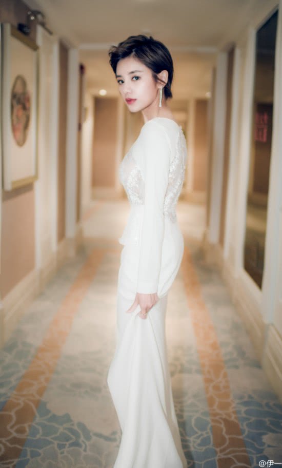 现在浙江卫视一姐一哥是谁,浙江卫视一姐目前是谁