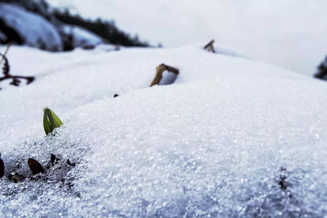曝光补偿太高了怎么办,曝光补偿是什么该如何调节