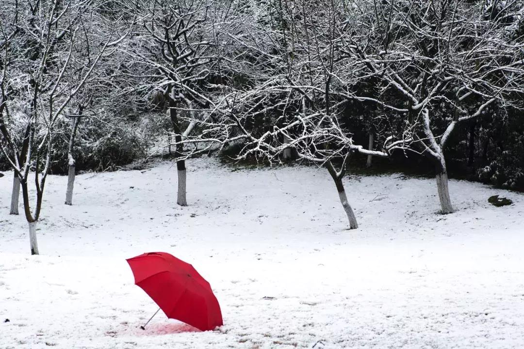 曝光补偿太高了怎么办,曝光补偿是什么该如何调节