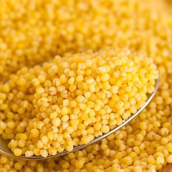 小米熬汤喝有什么好处,小米代参汤由来