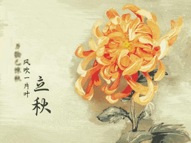 长垣县驾校哪家驾校通过率高,长垣驾校最新消息今天