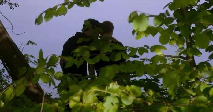 双男主的翘臀才不是我推荐它的理由