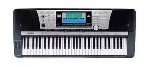 钢琴电子琴和手卷琴的区别,钢琴电子琴的区别