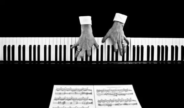 钢琴电子琴和手卷琴的区别,钢琴电子琴的区别