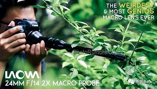 尼康和佳能入门级微单全画幅推荐,尼康微单佳能微单镜头哪个更多