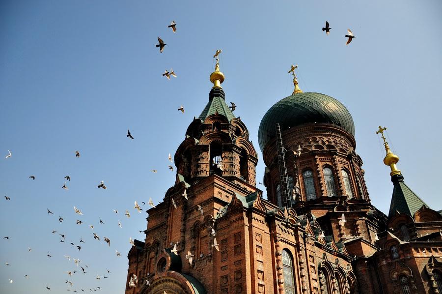 自主两厢汽车,自主品牌两厢轿车