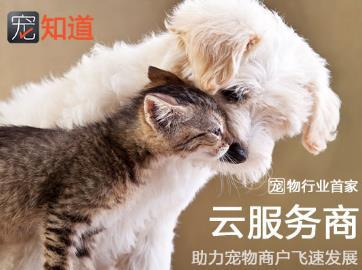 从供应链切入新零售，宠知道在氪空间成长找到新赛道
