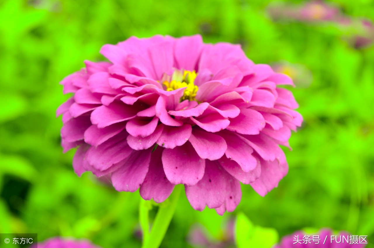 新手入门手动挡的教学视频,新手入门手动挡正确操作