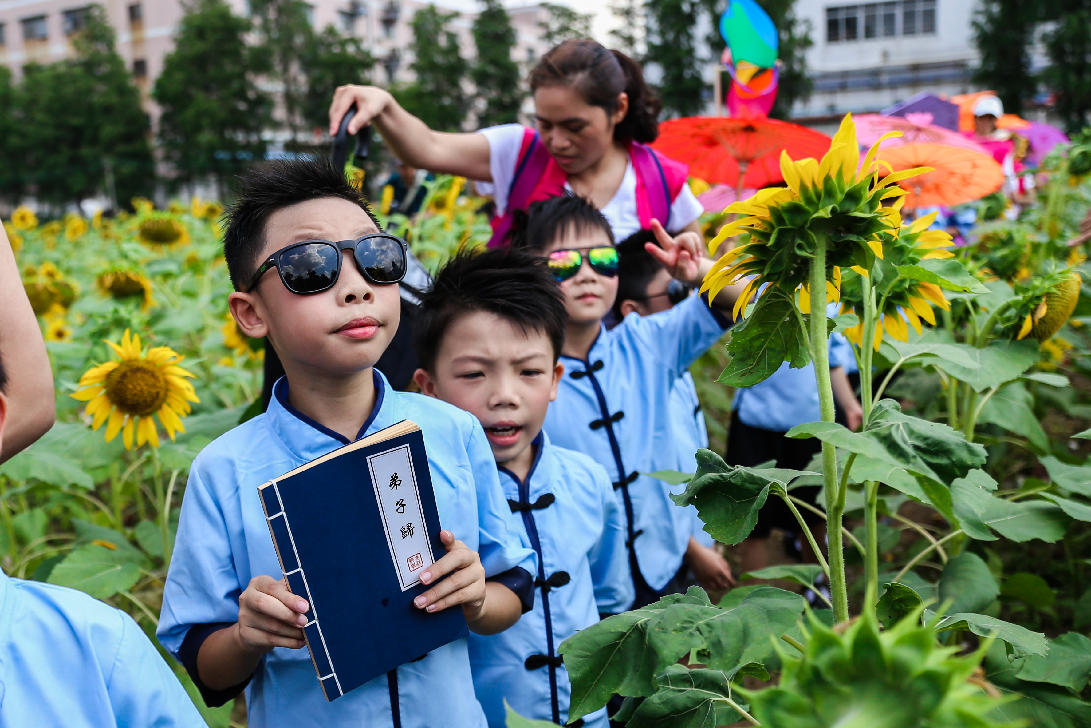 童趣夏天视频,熊孩子的调皮日常夏天
