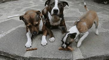 有着代购之王称号的店会卖假货吗？淘里里评店第500期见分晓！