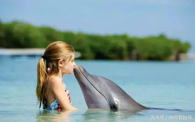 毛里求斯东西南北部哪个最好玩,毛里求斯攻略