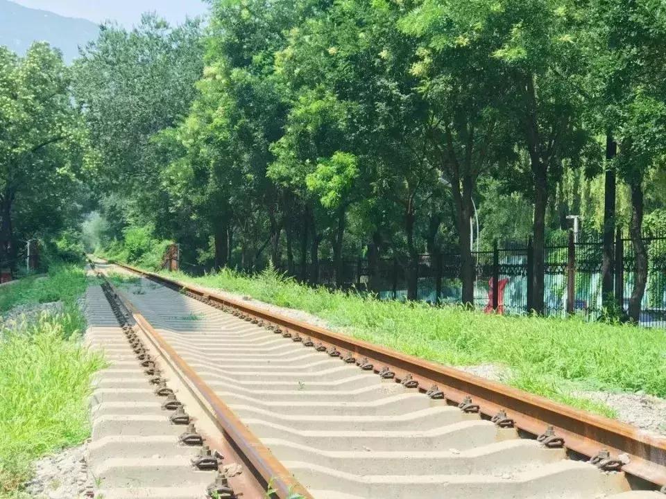 太原市最美的公园,太原中心最美公园