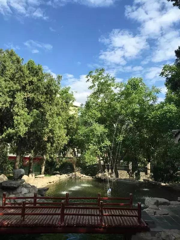 太原市最美的公园,太原中心最美公园