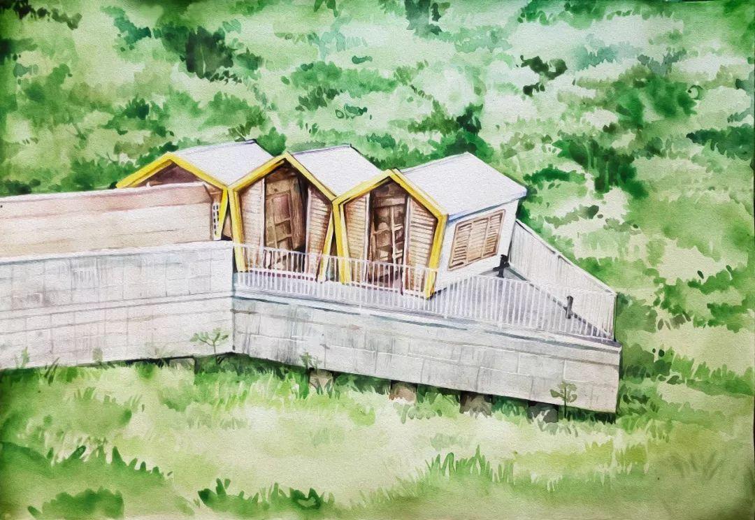 济州岛离岛游玩攻略,济州岛自驾游vlog攻略