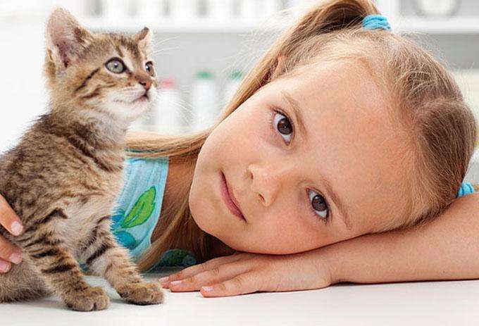 宝宝被宝宝咬伤需要打破伤风吗,宝宝被咬伤了涂什么