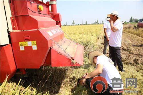 雷沃谷神rg60第一代,雷沃谷神RG50