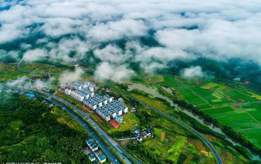 2020年8月7日济南新闻,八月八日新闻速览