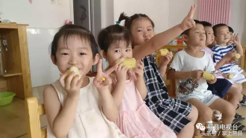 明珠幼儿园易县,易县电力明珠幼儿园