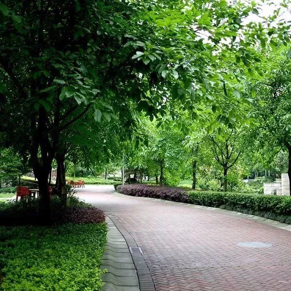 深圳市新桥足球公园,深圳足球公园免费开放